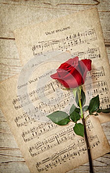 Red rose flower and vintage music notes sheet