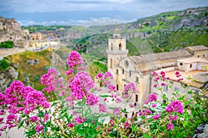 Red rose flowers and blurred background view of Church Chiesa San Pietro Caveoso