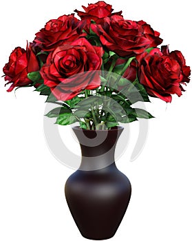 Red Rose Flowers, Roses, Isolated