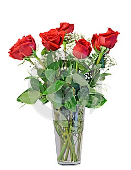 Red rose flowers in a transparent vase, green leaves, close up, white background, isolated