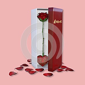 Red rose and gift box