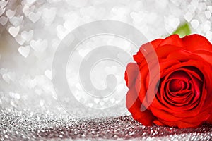 Red rose on glitters