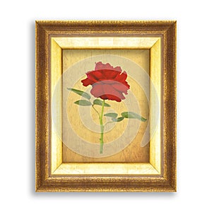 red rose on golden frame with empty grunge paper for your picture, photo, image. beautiful vintage background