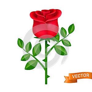 Red rose with green leaves vector icon. Blooming flower close-up cartoon illustration isolated on a white