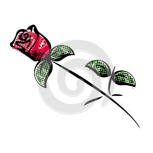 Red rose with green leaves on white background. Silhouette with black lines. Decoration bloom for invitation, Valentines day card