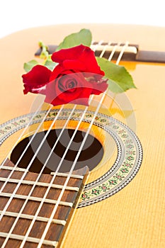 Red rose on guitar.