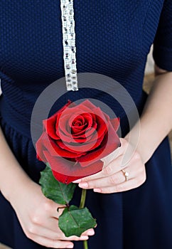 Red rose in the hands of women. Valentine's Day.