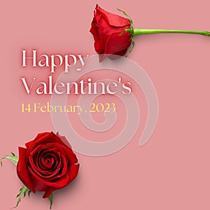 Red Rose Happy Valentines Day Quotes Instagram Post image