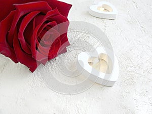 Red rose with heart lights on white textured background.