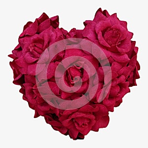 Red rose in heart shape isolated, with white background group flowers. idea card gift in love.