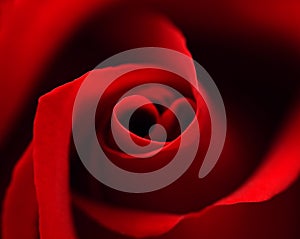 Red rose with heart symbol in center