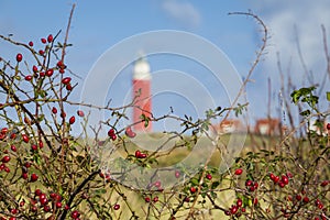 Lighthouse Texel Netherlands photo