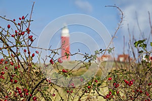 Lighthouse Texel Netherlands