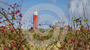 Lighthouse Texel Netherlands photo