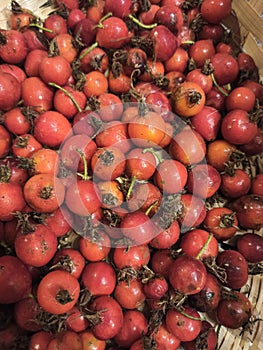red rose hips in a straw tray, a harvest of vitamins