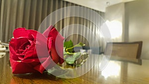 Red rose in hotel