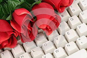 Red rose and keyboard