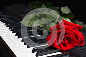 Red rose on the keys of the digital piano on black background