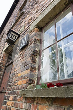 Red rose left on the window of the 10th block building from Auschwitz