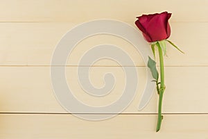 Red rose on light brown wood