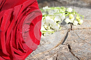Red rose and lily of the valley on a weathered tree trunk