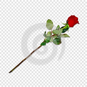 Red Rose on Long Stem Isolated Festive Clip Art