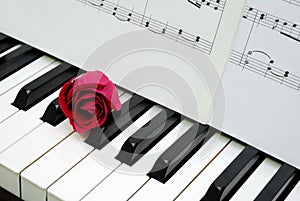 Red rose and music score on piano keyboard