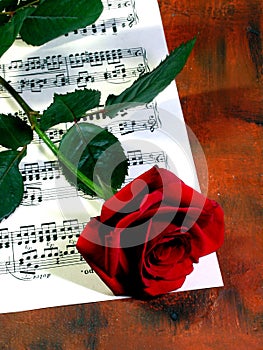 Red rose and music sheet