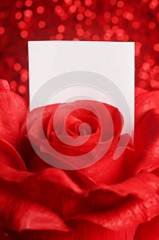 Red rose with note