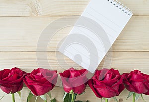 Red rose and notebook page 6