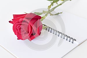 Red rose and notebook white background.