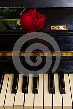 Red rose with notes paper on piano