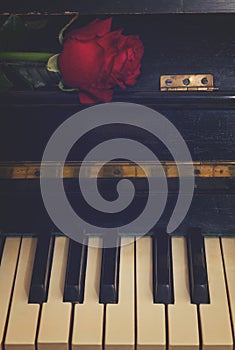 Red rose with notes paper on piano