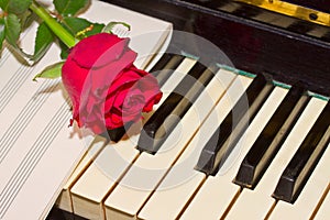 Red rose with notes paper on piano