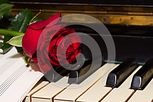 Red rose with notes paper on piano