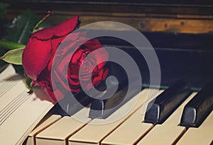 Red rose with notes paper on piano