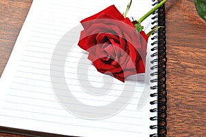 Red rose and notpad