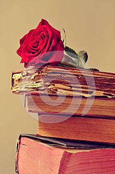 Red rose and old books photo