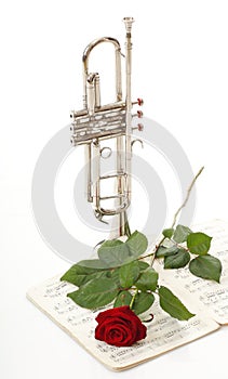 Red rose and old notes Sheet music trumpet