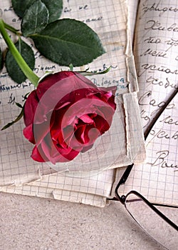 Red Rose on Old Paper
