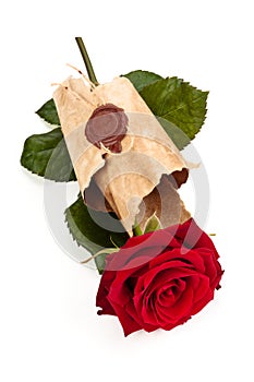 Red rose in old parchment.