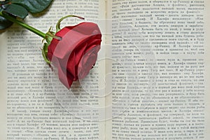 Red rose on open book
