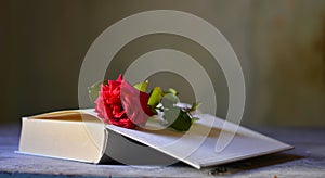 A red rose on an open book of love poems