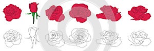 Red Rose and Outline Flower Illustration Set. Isolated Collection on White Background