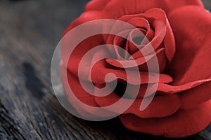 Red rose over old aged wood