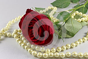 Red rose and pearls on white background