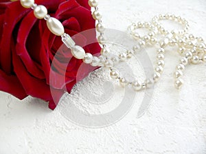 Red rose with pearls on white textured background.