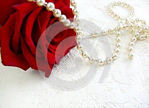 Red rose with pearls on white textured background.