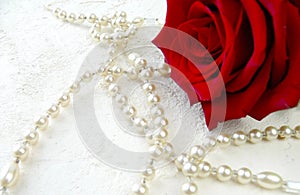 Red rose with pearls on white textured background.