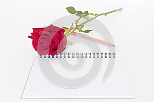 Red rose pencil and notebook white background.